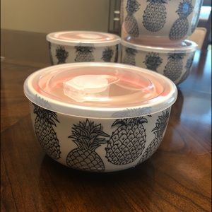 Pineapple storage containers new